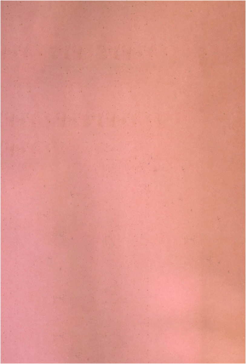 B_1070_เรียนรู้ภาษาจีนด้วยตนเอง เล่ม 2_600_1.pdf