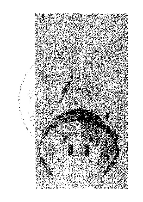อนุสรณ์จากกองทัพเรือ.pdf