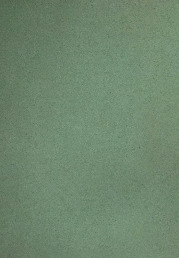 3170_แบบสอนอ่านอังกฤษ สยามนิวเซ็นจูรีย์ เล่ม 2_600_1.pdf