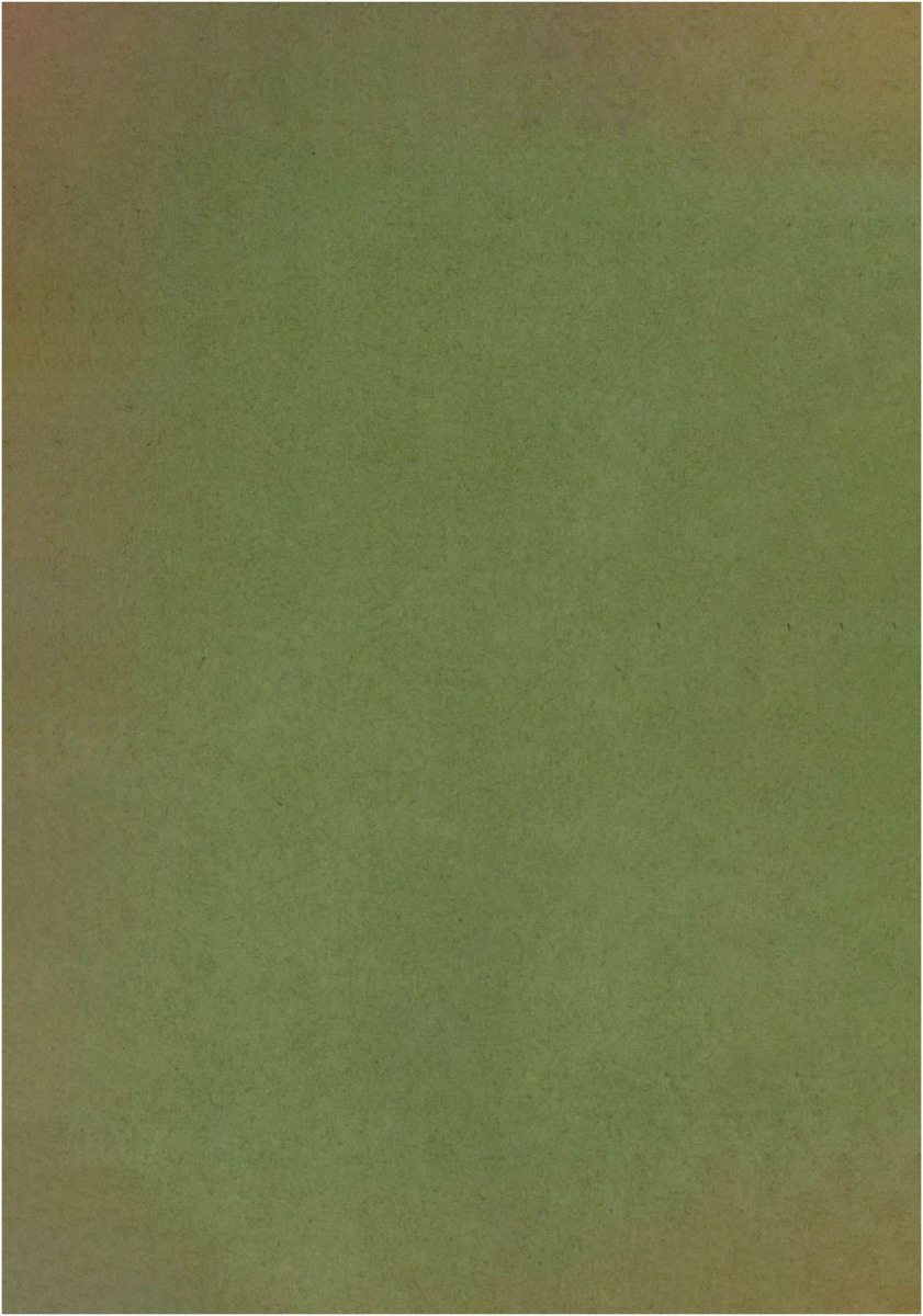 B_2988_เลขคณิตว่าด้วยการคำนวณในใจ_600_1.pdf