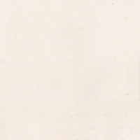 ป่าชายเลนอ่าวคุ้งกระเบน (86)_resize_resize_resize.jpg