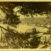 Nice - Vne a travers les Pins