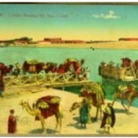 Kantara - Camels Passing The Suey Canal
