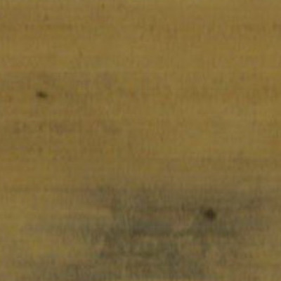 350.อภิธมฺมตฺถสงฺคห (พฺรอภิธมฺมตฺถสงฺคหปริเฉท 1-9)