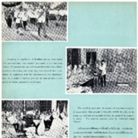 Thailand Illustrated เดือนพฤศจิกายน พ.ศ. 2501