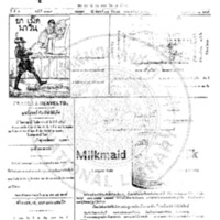 หนังสือพิมพ์กรุงเทพเดลิเมล์ ปีที่ 4 ฉบับที่ 1019 วันที่ 17 มิถุนายน 2456