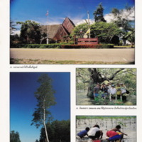 ป่าชายเลนอ่าวคุ้งกระเบน (3)_resize_resize_resize.jpg