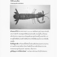 มรดกคลองกองดิน (128)_resize_resize.jpg