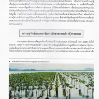 ป่าชายเลนอ่าวคุ้งกระเบน (46)_resize_resize_resize.jpg