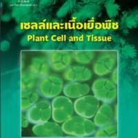 เซลล์และเนื้อเยื่อพืช<br /><br />
