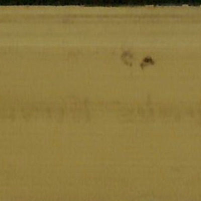 348.โพธิปกขิยธมฺม (พระโพธิปักขิยธรรม จตุสติปัฎฐานสูตร_อัฏฐังคิกมัคค เผด็จ)