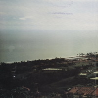 ป่าชายเลนอ่าวคุ้งกระเบน (4)_resize_resize_resize.jpg