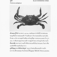 มรดกคลองกองดิน (130)_resize_resize.jpg