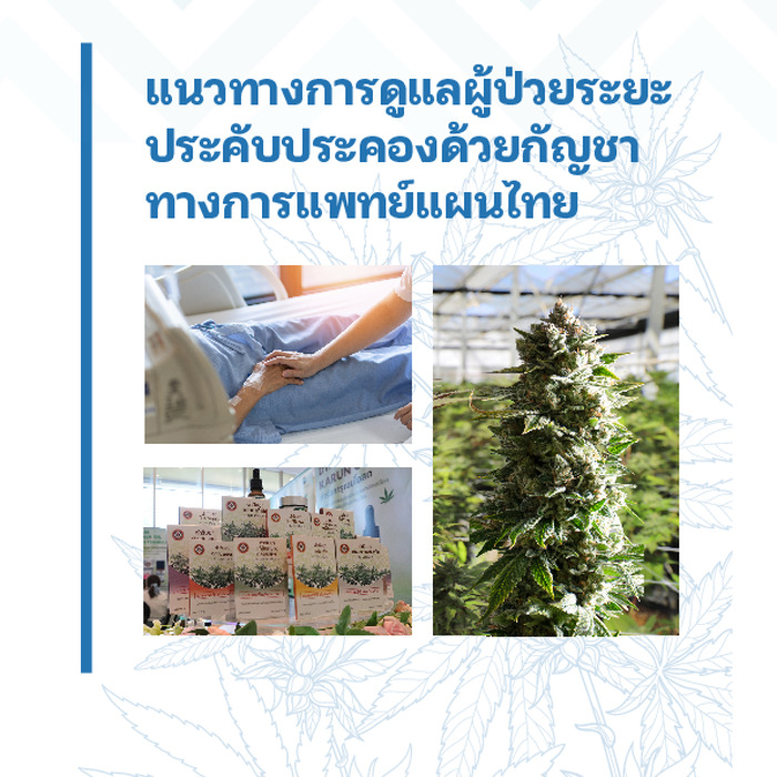 แนวทางการดูแลผู้ป่วยระยะประคับประคองด้วยกัญชาทางการแพทย์แผนไทย