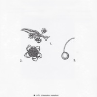 ป่าชายเลนอ่าวคุ้งกระเบน (80)_resize_resize_resize.jpg