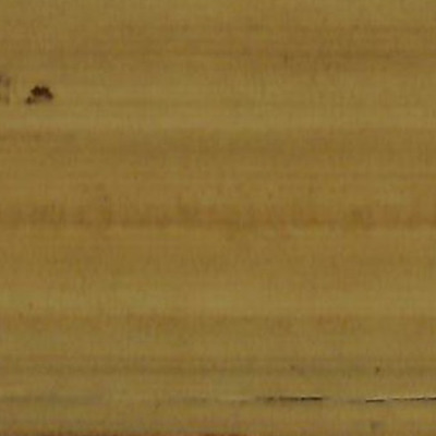 356.สงฺคีติกถา (เนะเสจกฺดี ปภมสงฺคายนาตฺรูพฺรกสฺสป)