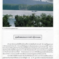 ป่าชายเลนอ่าวคุ้งกระเบน (25)_resize_resize_resize.jpg