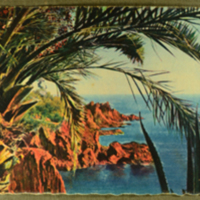 ไม่มีคำบรรยายภาพ