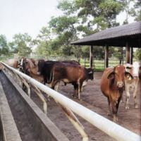 ตามรอยพระบาทปราชญ์แห่งสยาม (37)_resize.jpg