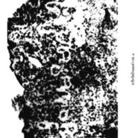 จารึกวัดบ้านมะค่า