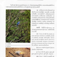 ป่าชายเลนอ่าวคุ้งกระเบน (26)_resize_resize_resize.jpg