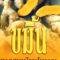 ขมิ้น ยอดสมุนไพรโบราณ รักษาสารพัดโรค!<br /><br />
