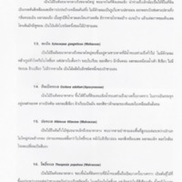 ป่าชายเลนอ่าวคุ้งกระเบน (34)_resize_resize_resize.jpg