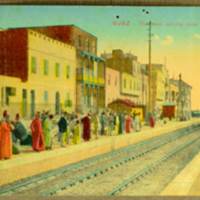 Suey - The train arriving from The Port - Tewfik