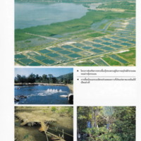 ป่าชายเลนอ่าวคุ้งกระเบน (44)_resize_resize_resize.jpg