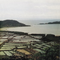 ป่าชายเลนอ่าวคุ้งกระเบน (6)_resize_resize_resize.jpg