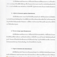 ป่าชายเลนอ่าวคุ้งกระเบน (30)_resize_resize_resize.jpg