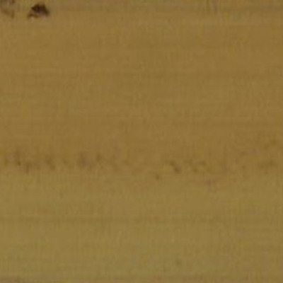 372.กจฺจายนมูล (มูลกจ์จาย อาขยาต_อุณาทิ)