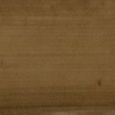 206. มหานิปาต(คาถาพัน)ชาดกปาลิ ขุททกนิกาย (พฺรมหาเวสสันฺชาฎกกถาพัน ขั้นต้น ทสว_มหาวน