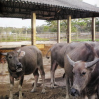 ตามรอยพระบาทปราชญ์แห่งสยาม (40)_resize.jpg