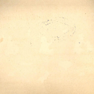 แบบหัดอ่านภาษาอังกฤษ เล่ม1