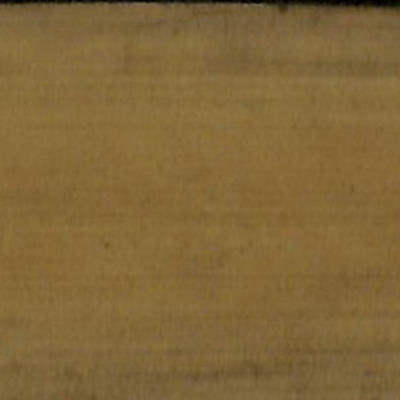 341.ปพฺพโตปมคาถา (ปพฺพโตปมคาถาเทศนา)