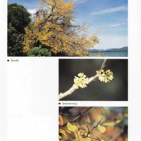 ป่าชายเลนอ่าวคุ้งกระเบน (60)_resize_resize_resize.jpg