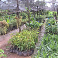 สกลนคร...มหานครแห่งพฤกษเวช