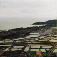 ป่าชายเลนอ่าวคุ้งกระเบน (5)_resize_resize_resize.jpg