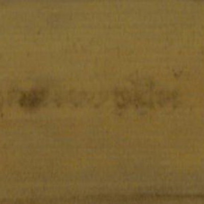 370.พาลปฺปโพธ (พาลปฺปโพธิปกรณํ)