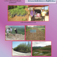 การส่งเสริมและเร่งรัดการฟื้นฟูสภาพแวดล้อมในพื้นที่เหมืองแร่