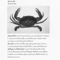 มรดกคลองกองดิน (129)_resize_resize.jpg