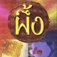 ผึ้ง<br /><br />
