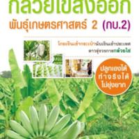 กล้วยไข่ส่งออก<br /><br />
