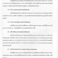 ป่าชายเลนอ่าวคุ้งกระเบน (37)_resize_resize_resize.jpg