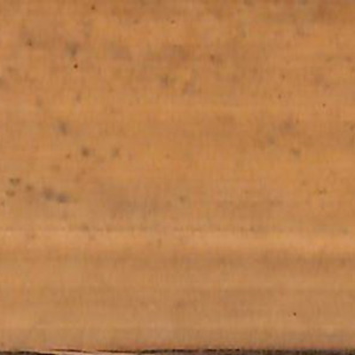 121. สารสงคห.(พฺรสารสงคห).