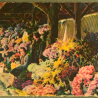 ไม่มีคำบรรยายภาพ 