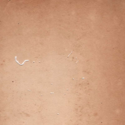 ประชุมพงศาวดารภาคที่ 33 บุรพภาคพระธรรมเทศนา