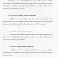 ป่าชายเลนอ่าวคุ้งกระเบน (33)_resize_resize_resize.jpg