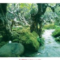 ที่... ออกกำลังใจ 9 สถาน Slow Life พักใจในเมืองกรุง<br /><br />
